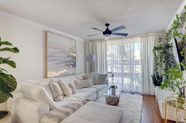 living room with crown molding, ceiling fan, dark wood-type flooring, and a textured ceiling