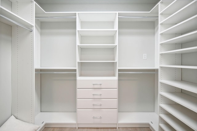 view of spacious closet