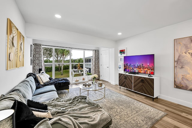 living room with hardwood / wood-style floors