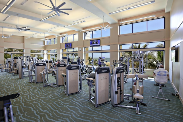 gym featuring a high ceiling, ceiling fan, and carpet