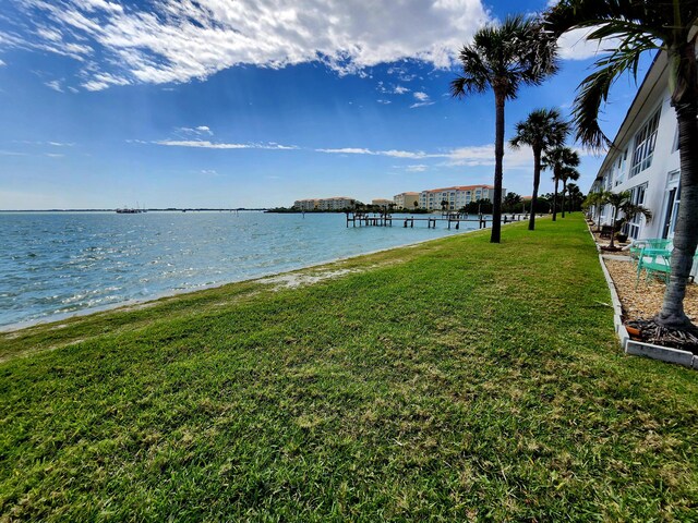 water view featuring a boat dock