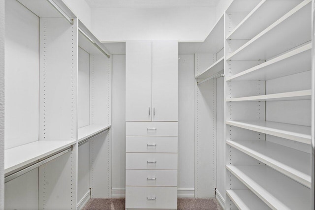 spacious closet featuring carpet floors