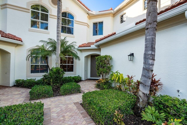 entrance to property with stucco siding and a tiled roof