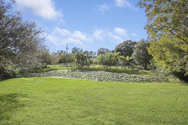 view of yard with a water view