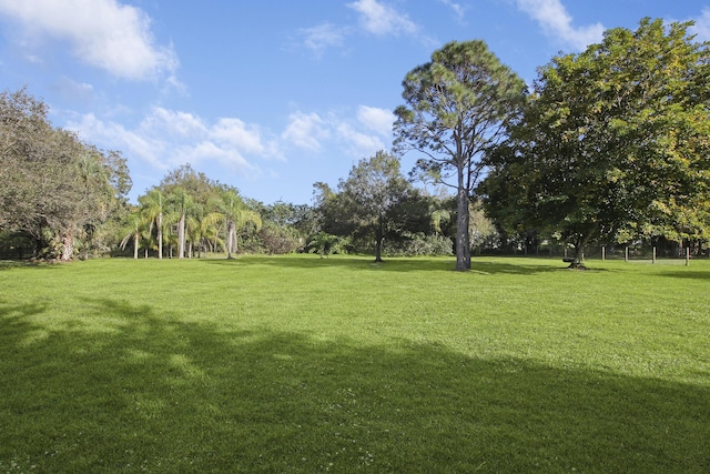 view of community with a lawn