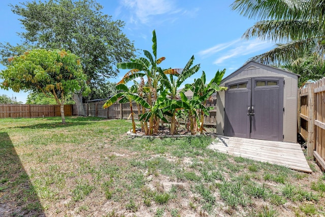 view of yard with a storage shed