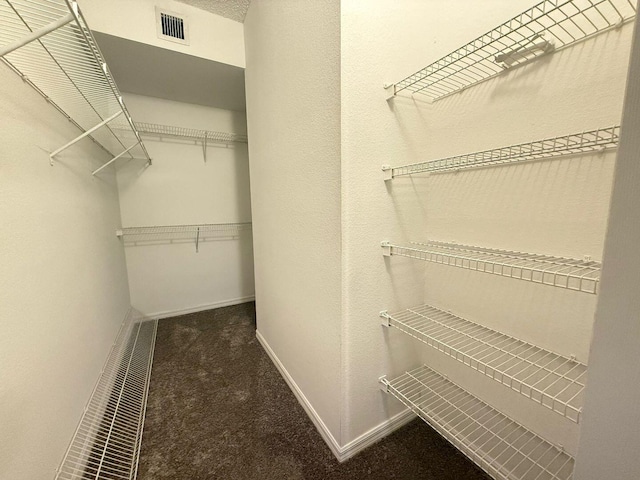 walk in closet featuring carpet floors