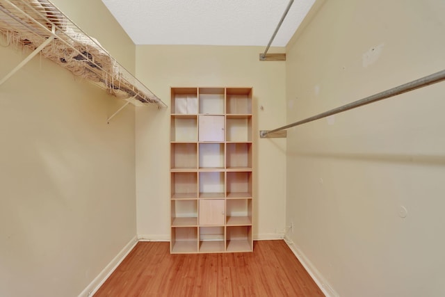 walk in closet featuring hardwood / wood-style flooring