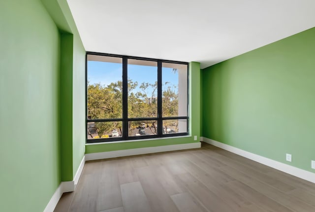 spare room with plenty of natural light and light hardwood / wood-style floors