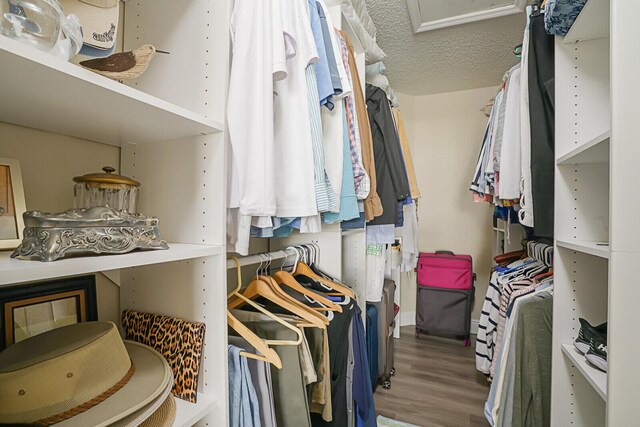 walk in closet with hardwood / wood-style flooring