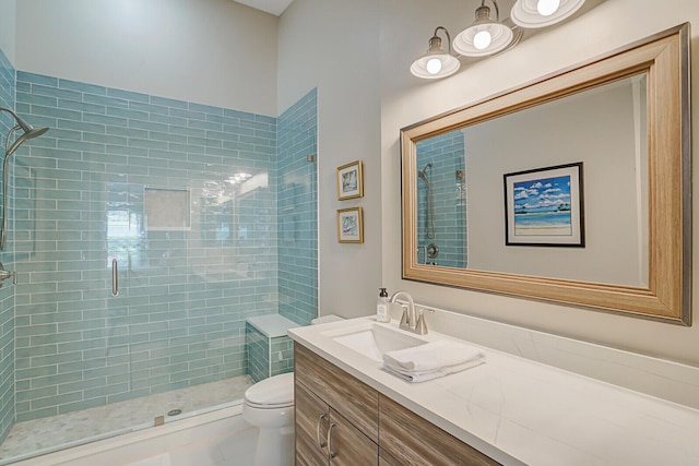 bathroom with toilet, a stall shower, and vanity