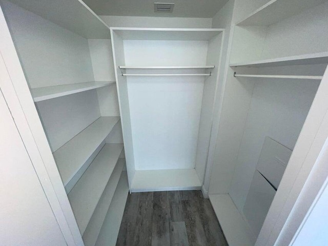 spacious closet featuring dark wood-type flooring