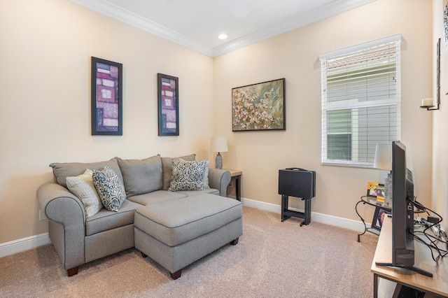 living room featuring crown molding and carpet flooring