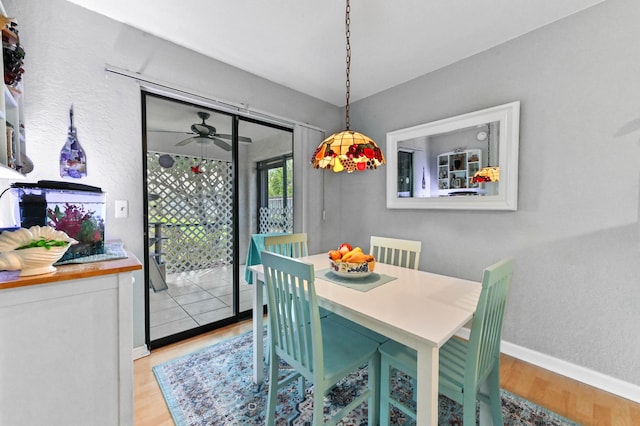 dining space with ceiling fan and light hardwood / wood-style flooring