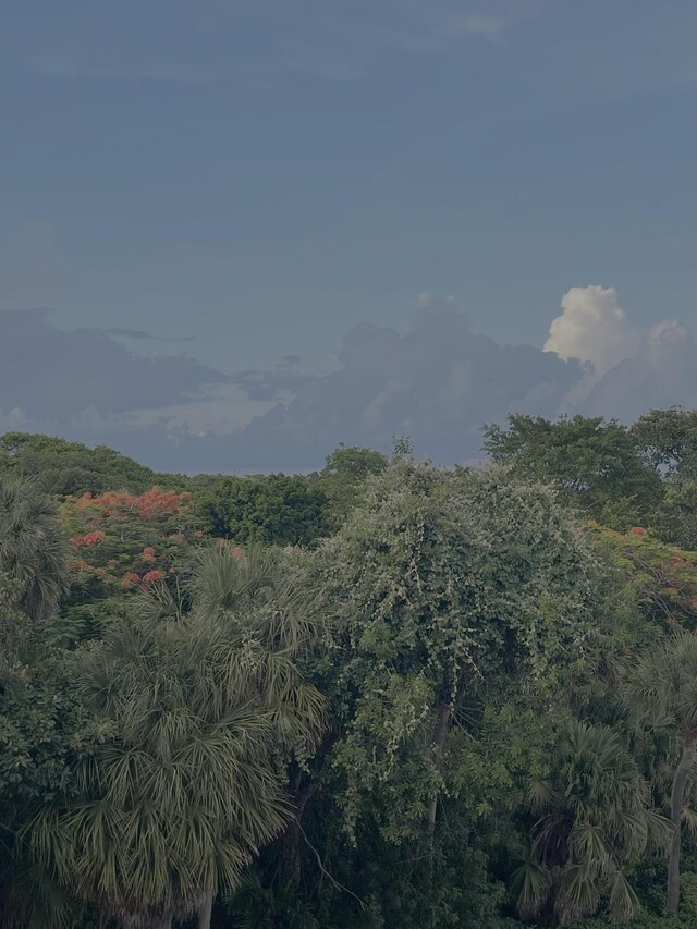 2871 N Ocean Blvd Unit F427, Boca Raton, FL 33431 - view of mountain backdrop featuring a forest