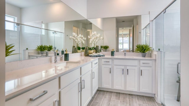 bathroom with vanity and a shower with shower door