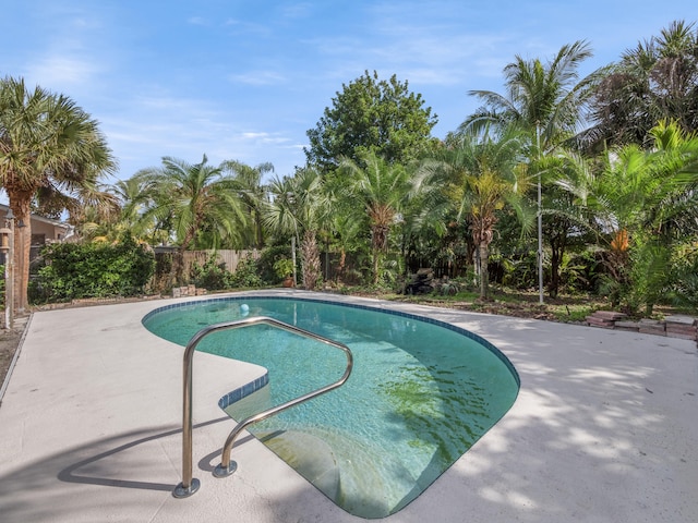 view of swimming pool featuring a patio area