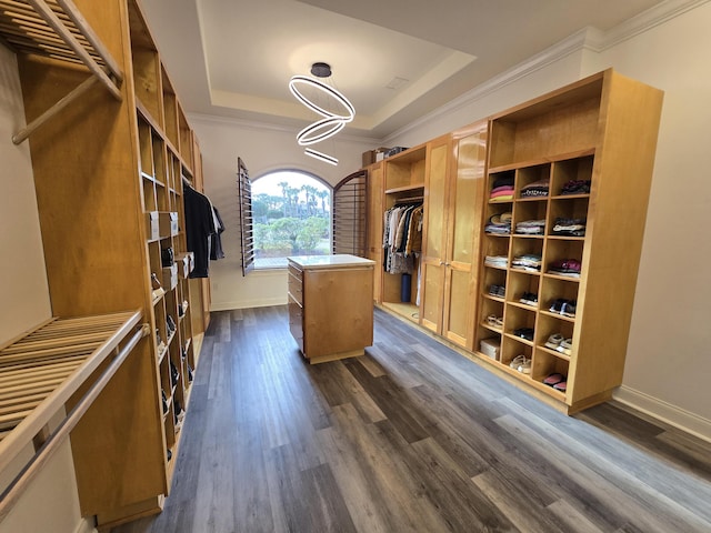 spacious closet featuring dark wood-type flooring and a tray ceiling