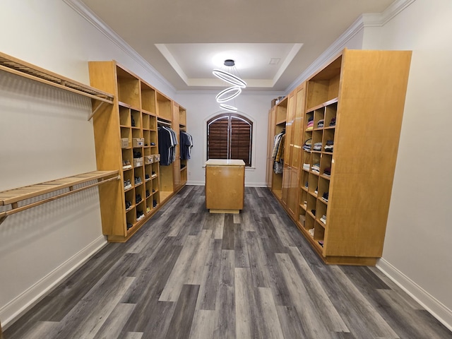 wine area with crown molding, dark hardwood / wood-style floors, and a tray ceiling