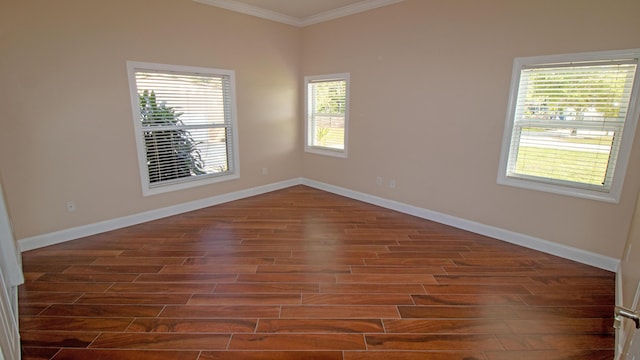 empty room featuring crown molding and dark hardwood / wood-style floors