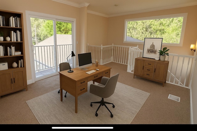 14717 11th Ter, Loxahatchee Groves, FL 33470 - office featuring light colored carpet and crown molding