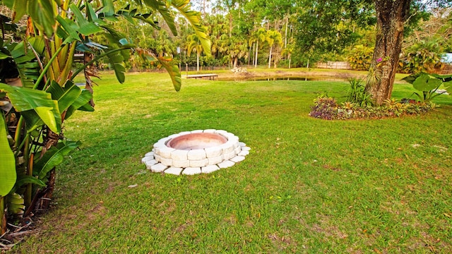 view of yard with an outdoor fire pit