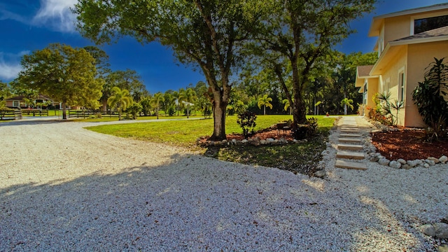 14717 11th Ter, Loxahatchee Groves, FL 33470 - view of yard