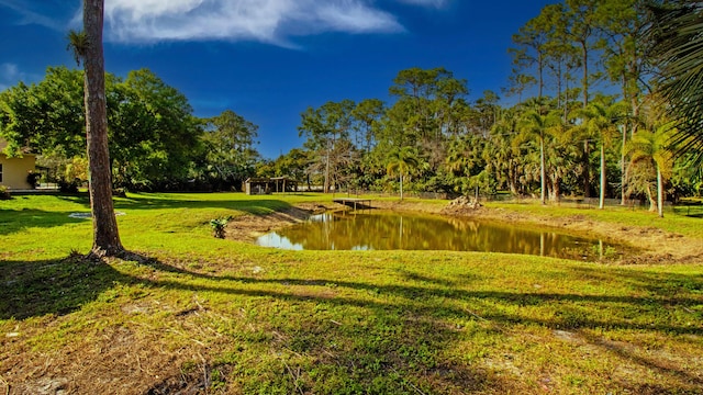 view of property's community with a water view and a yard