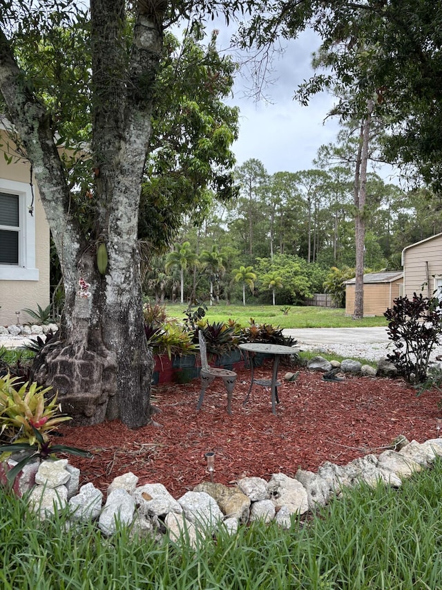 14717 11th Ter, Loxahatchee Groves, FL 33470 - view of yard