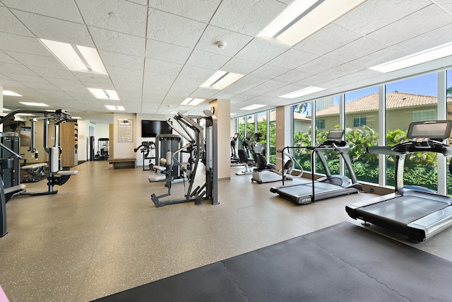 exercise room featuring a paneled ceiling and a wall of windows