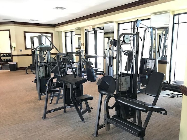 workout area featuring ornamental molding and carpet flooring