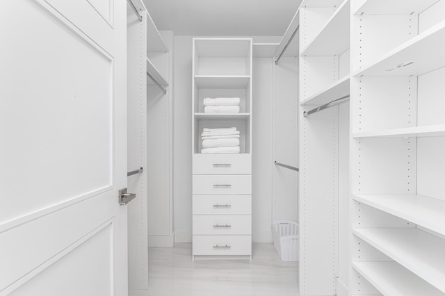 view of walk in closet