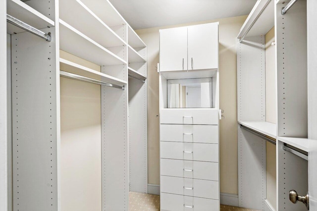 view of spacious closet