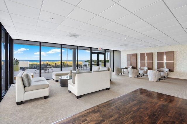 carpeted living area with a wealth of natural light, expansive windows, and wood finished floors