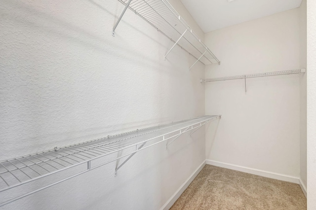 walk in closet featuring carpet floors