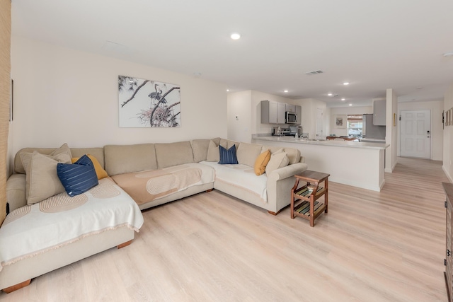 living room featuring light hardwood / wood-style flooring