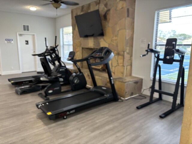 exercise room featuring ceiling fan, a fireplace, visible vents, baseboards, and light wood finished floors