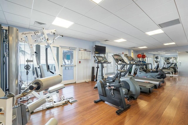 gym with a drop ceiling and hardwood / wood-style floors