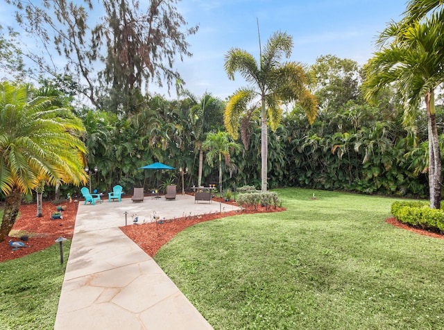 view of yard with a patio