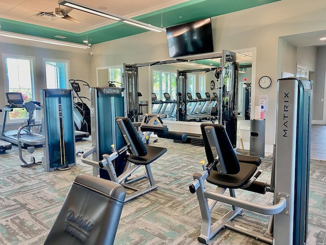 gym with ornamental molding and carpet