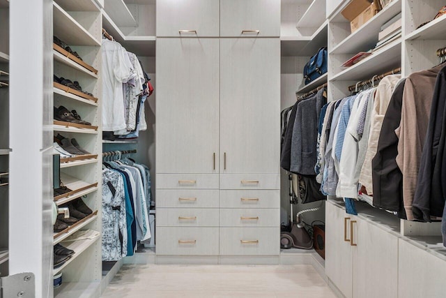 view of walk in closet