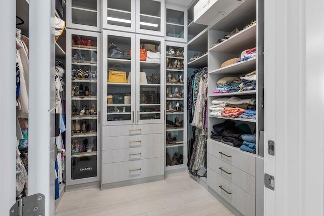 view of walk in closet