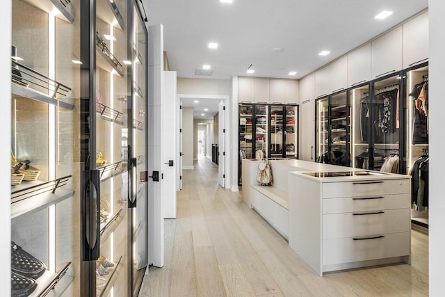 walk in closet featuring light hardwood / wood-style flooring