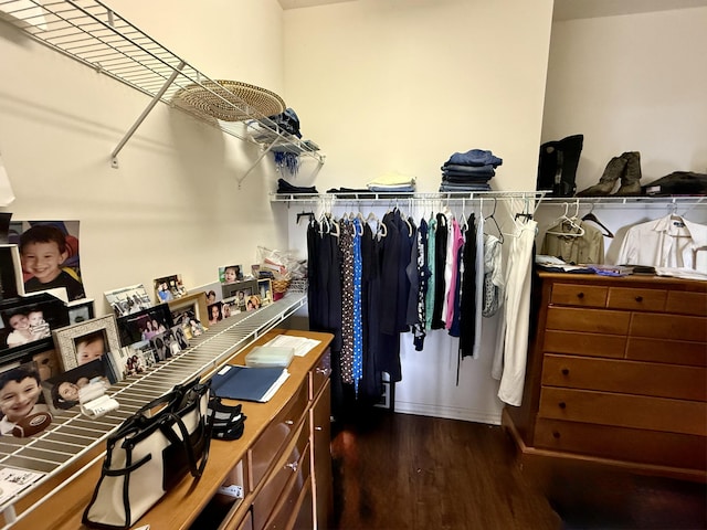 walk in closet featuring dark hardwood / wood-style flooring