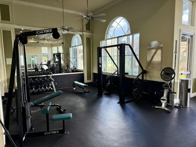 exercise room featuring a high ceiling and ornamental molding