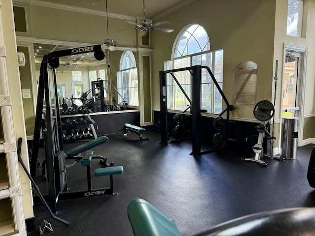 exercise room featuring a high ceiling and crown molding