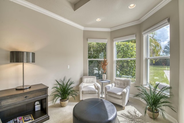 living area featuring ornamental molding, carpet flooring, a textured ceiling, and a healthy amount of sunlight