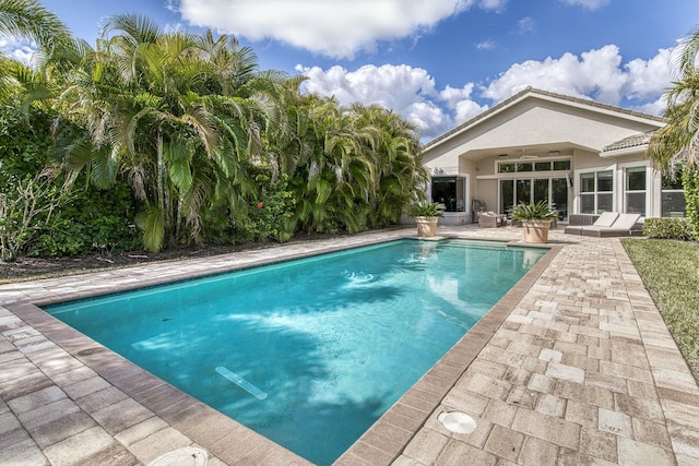 view of pool featuring a patio area