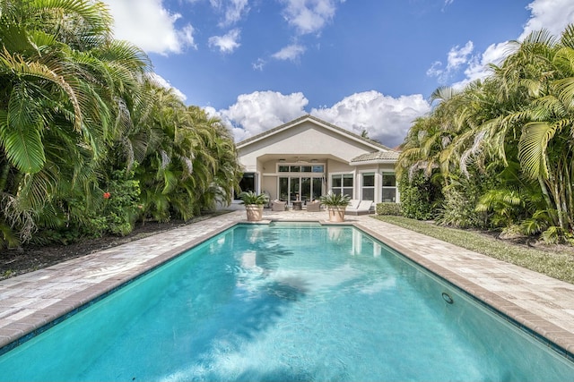 view of swimming pool with a patio