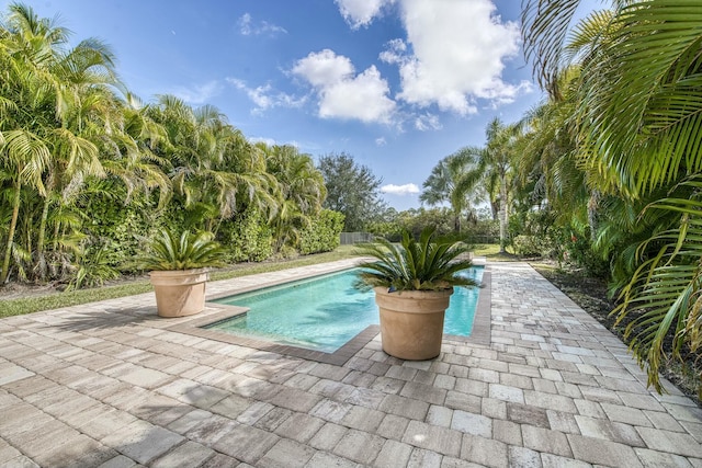 view of pool featuring a patio